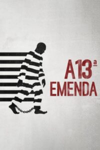 A 13ª Emenda