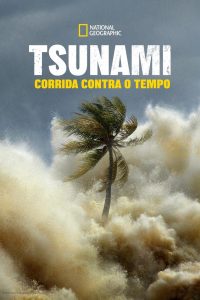 Tsunami: Corrida Contra o Tempo